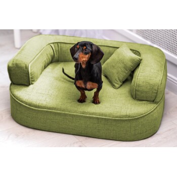 ® LOTTE VISCO PLUS - Orthopädisches Hundesofa hellgrün 80 cm, 30 cm, 60 cm