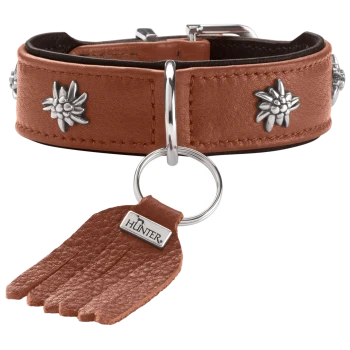 Braunes Lederhalsband mit silbernen Edelweißnieten, D-Ring und Lederquastenanhänger mit Aufschrift 'HUNTER'.