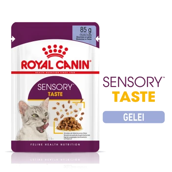 Royal Canin Sensory Taste kattenvoer zakje, 85g, met stukjes in gelei, met een speelse kattenafbeelding en tekst die 'Feline Health Nutrition' benadrukt.