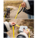 Person reinigt eine gelbe Hundeleine mit einem grauen Tuch im Freien, im Hintergrund ein kleiner Hund.