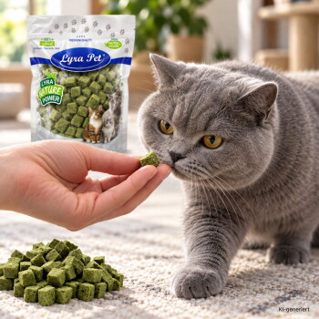 Grau getigerte Katze schnüffelt an einem grünen Würfel-Leckerli aus einer Hand, Haufen grüner Leckerlis und eine Tüte mit der Aufschrift 'Lyra Pet' sind sichtbar