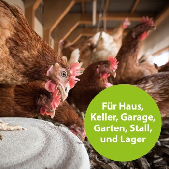 Nahaufnahme von braunen Hühnern, die an einem Futterteller in einem Stall picken, mit einem grünen Kreis, der 'Für Haus, Keller, Garage, Garten' liest.