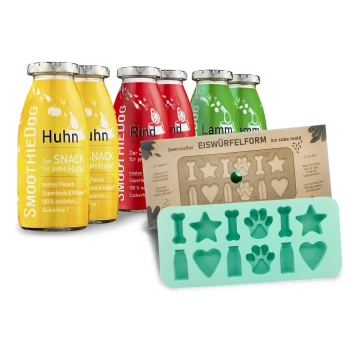 Drei bunte Flaschen beschriftet mit "Huhn," "Rind" und "Lamm," die natürliche Zutaten fördern, neben einer grünen, hundethemen Eiskubusform.
