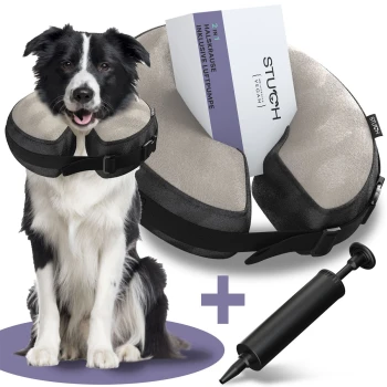 Ein schwarz-weißer Border Collie mit einem weichen, aufblasbaren Halskragen sitzt neben einer 2-in-1-Produktbox mit der Bezeichnung 'STUCH' und einer schwarzen Pumpe.