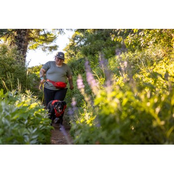 Eine Person führt einen schwarzen Hund auf einem bewaldeten Weg, umgeben von üppigem Grün und Wildblumen, trägt ein grünes Shirt und eine rote Bauchtasche.