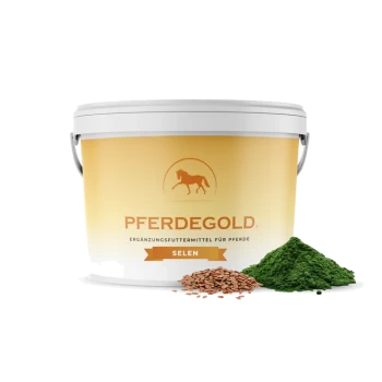 Weißer Eimer mit Aufschrift „PFERDEGOLD“ (Ergänzungsfuttermittel für Pferde) und „SELEN“, dazu Leinsamen und ein Haufen grünes Pulver