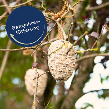 Ein Vogelfutterspender in Form einer Tannenzapfen, der an einem Baumzweig hängt, mit einem blauen runden Etikett, das "Ganzjahresfütterung" angibt.