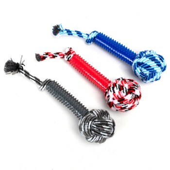 Drei bunte Hundespielzeuge: ein blauer Gummistick, ein roter Gummistick mit einem geknoteten Seil und ein grauer Gummistick mit einem geknoteten Seil.