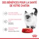 Un chaton duveteux à côté d'un bol rouge de nourriture pour chats Royal Canin, mettant en avant les avantages : texture tendre, système immunitaire fort et développement cérébral.