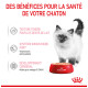 Fluffy Kätzchen neben einer roten Schüssel mit Royal Canin Katzenfutter, das Vorteile hervorhebt: zarte Textur, starkes Immunsystem und Gehirnentwicklung.