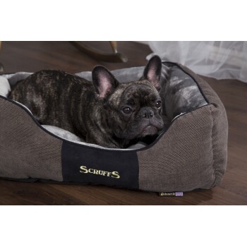 Ein gestromter Französischer Bulldogge, die in einem gemütlichen Scruffs-Haustierbett ruht, mit einem weichen grauen Innenraum und einem dunkelbraunen Äußeren.