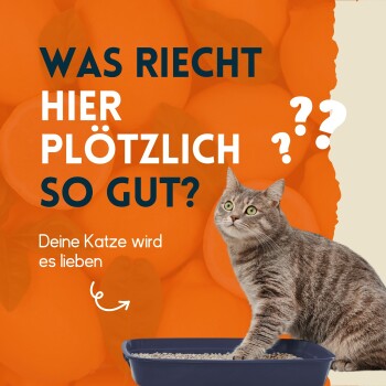 Katzenklo Geruchsentferner 5 l