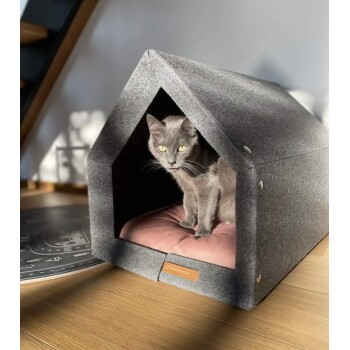 Eine graue Katze sitzt in einem gemütlichen, grauen Filz-Katzenhaus mit einem rosa Kissen, beleuchtet von Sonnenlicht in einem modernen Innenraum.