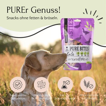 Ein Golden Retriever auf einer Wiese schaut auf einen lila Beutel "Pure Bites" Entenleckerlis, der hypoallergene, getreidefreie Zutaten hervorhebt.