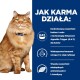 Puszysty pomarańczowy kot siedzi na niebieskim tle z tekstem o korzyściach z jedzenia dla kotów, takich jak omega-3 i niezbędne aminokwasy.