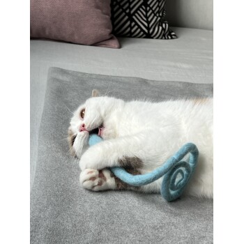 Eine verspielte weiße Katze mit braunen Flecken liegt auf einer grauen Oberfläche und hält ein blaues Spiralspielzeug mit ihren Pfoten.