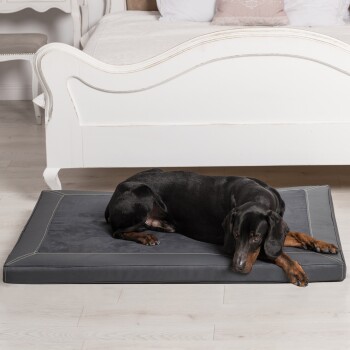 Ein schwarzer und brauner Dobermann liegt auf einem grauen Hundebett in einem hellen Raum mit einem weißen Bett im Hintergrund.