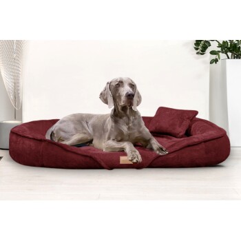 Ein grauer Weimaraner-Hund liegt auf einem plüschigen burgunderfarbenen Haustierbett mit einem kleinen passenden Kissen, vor einer hellen Wand.
