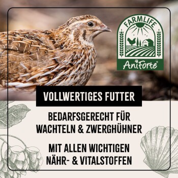 Bild von Wachteln mit dem Text: 'Vollfutter für Wachteln & Zwerghühner mit essentiellen Nährstoffen.' FarmLife AniForte-Logo in der oberen rechten Ecke.