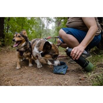 Eine Frau kniet auf einem Schotterweg im Wald und hält eine Wasserflasche, während zwei Hunde, ein Corgi und ein Mischling, aus einer zusammenklappbaren Schüssel trinken.