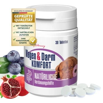 Gigi Magen & Darm Komfort Ergänzungsmittel für Hunde, enthält 30 Tabletten, mit Heidelbeeren und Granatapfel daneben.