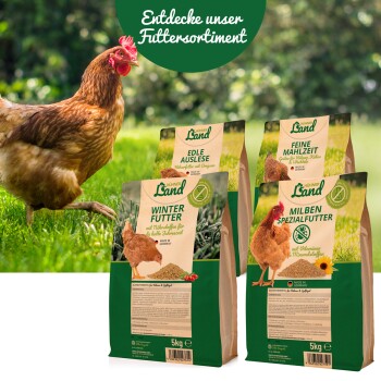 Eine braune Henne steht auf grünem Gras neben fünf Säcken Hühnerfutter, die jeweils mit verschiedenen Namen und Bildern von Hühnern beschriftet sind.