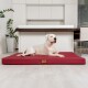 Ein weißer Hund, der auf einem roten Hundebett in einer modernen Küche mit Holzarbeitsplatte und grünen Pflanzen im Hintergrund liegt.