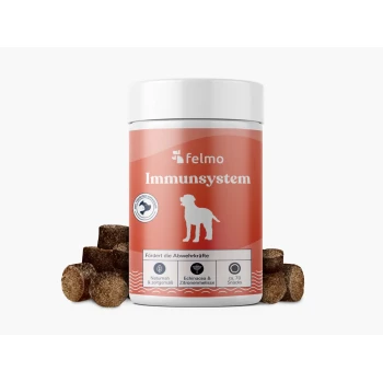 Glas Felmo 'Immunsystem' Hundesupplement mit weißer Hundesilhouette, deutschem Etikett und braunen Snack-Pellets drumherum.
