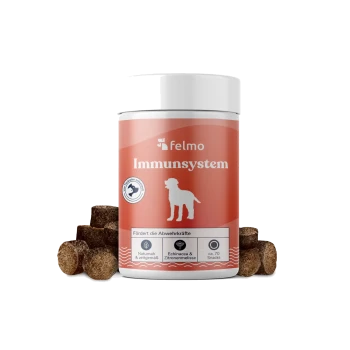 Glas Felmo 'Immunsystem' Hundesupplement mit weißer Hundesilhouette, deutschem Etikett und braunen Snack-Pellets drumherum.
