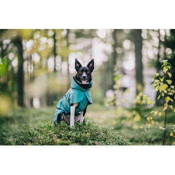 Ein Hund, der einen türkisfarbenen Regenmantel trägt, sitzt auf einem Stück grünem Gras in einer Waldumgebung, umgeben von verschwommenen Bäumen und Laub.