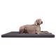 Ein hellgrauer Weimaraner-Hund liegt auf einem dunkelgrauen Haustierbett und schaut aufmerksam zur Seite.