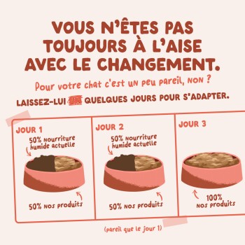 Infographie en français : transition alimentaire sur 3 jours — Jour 1 et 2 : 50 % nourriture humide actuelle / 50 % nos produits ; Jour 3 : 100 % nos produits.