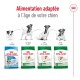 Mini Adulte 8 kg