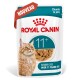 Pochette de nourriture Royal Canin Senior Cat Food pour chats de plus de 11 ans, morceaux en gelée, avec image d'un chat roux et étiquette « Nouveau ».
