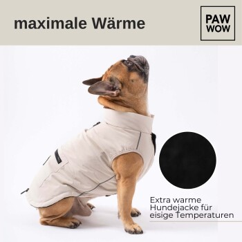 Ein Französischer Bulldogge trägt eine beigen Winterhundejacke und schaut nach oben. Der Text lautet 'maximale Wärme' und 'Extra warme Hundejacke für eisige Temperaturen.'