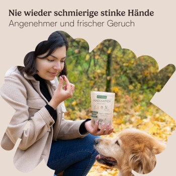 Eine Person hält eine Tüte Hundeleckerlis mit der Aufschrift "HUNDEHAPPEN" in einem Park mit Herbstblättern, begleitet von einem Golden Retriever.