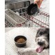 Schwarze geometrische Futterschale wird in die Spülmaschine gestellt und mit Trockenfutter gefüllt, neben einem glücklichen Hund auf einem Teppich.