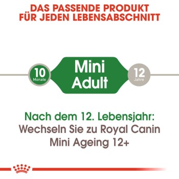 Mini Adult 12x85g