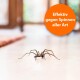 Eine Spinne auf einem Holzboden mit verschwommenem Hintergrund; orangefarbener Text liest: "Wirksam gegen alle Arten von Spinnen."