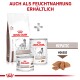 Verpackung von Royal Canin Veterinary Hepatic Hundefutter, mit trockenen Kroketten und feuchten Mousse-Optionen, mit einer Grafik von Hundefutterstücken.