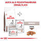 Verpackung von Royal Canin Veterinary Hepatic Hundefutter, mit trockenen Kroketten und feuchten Mousse-Optionen, mit einer Grafik von Hundefutterstücken.