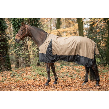 Ein braunes Pferd, das eine wasserfeste Decke in Beige und Schwarz trägt, steht auf einem Bett aus Herbstblättern, umgeben von Bäumen.