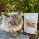 Eine flauschige grau-weiße Katze mit auffälligen blauen Augen liegt neben einem Beutel mit gefriergetrockneten Hühnerherzsnacks, beschriftet mit "I love my cat FREEZE-SNACK."