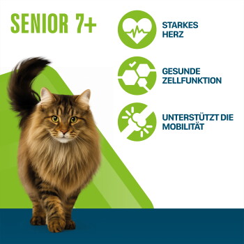 Langhaarige braune Katze läuft; Text „SENIOR 7+“ und grüne Symbole mit deutschen Beschriftungen: STARKES HERZ; GESUNDE ZELLFUNKTION; UNTERSTÜTZT DIE MOBILITÄT