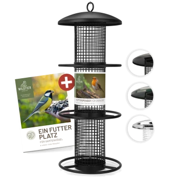 Schwarzer Metallvogelhäuschen mit einem Netzdesign, mit einem Etikett, das 'FUTTERSPENDER FÜR ERNÜSSE' liest und Bildern von Vögeln.