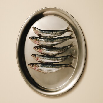 Cinq sardines entières alignées sur un plateau ovale en acier inoxydable sur un fond beige.