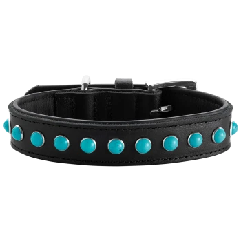 Schwarzes Lederhalsband für Hunde, verziert mit türkisfarbenen Nieten und silbernen Akzenten, mit einer Metallschnalle zum Verschließen.