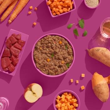 Ein lebendiges Flatlay von Haustierfutterzutaten auf einem rosa Hintergrund, mit einer Schüssel mit Nassfutter für Hunde, gewürfeltem Fleisch, Süßkartoffeln, Karotten und einem Apfel.