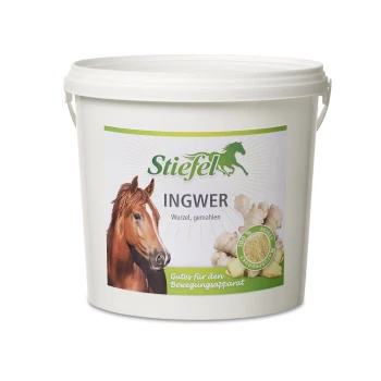 Weißer Eimer mit der Aufschrift "Stiefel INGWER Wurzel, gemahlen" mit dem Gesicht eines Pferdes und Ingwerwurzel, mit dem Text "Gutes für den Bewegungsapparat."