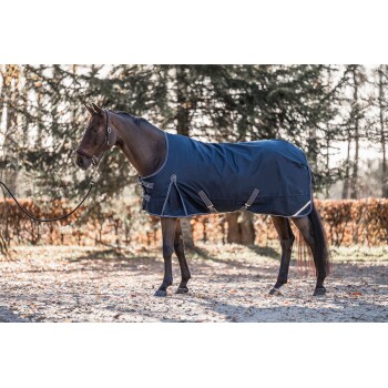 Ein braunes Pferd, das eine marineblaue Decke trägt, steht auf einer sandigen Fläche, mit Bäumen und herbstlichem Laub im Hintergrund.